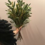 IMG 4718 150x150 - Mimoza Day